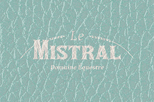 MISTRAL